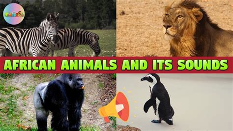 African Animals Names And Sounds For Children Youtube