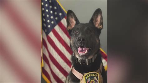 Ogle County K9 Receives Body Armor Youtube