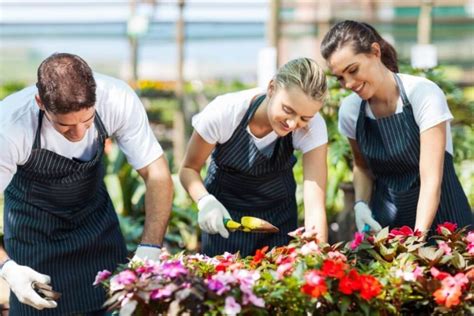 Praca w Holandii bez języka czy jest możliwa JOBS pl