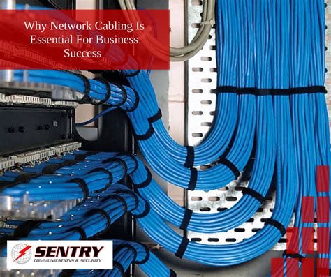 Why Network Cabling Is Essential For Business Success Sentry