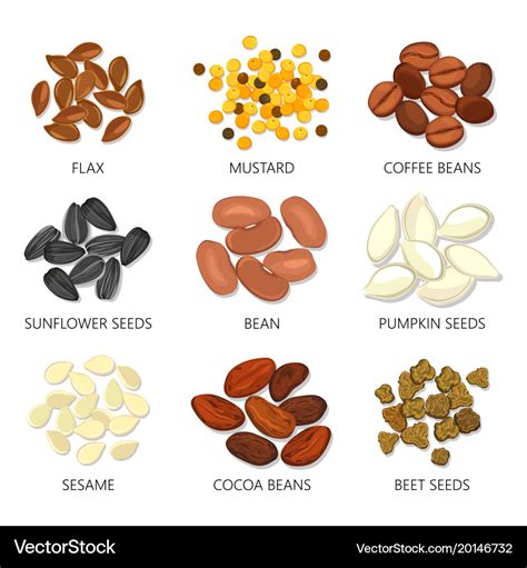 Icons Seeds And Grains Beans Royalty Free Vector Image