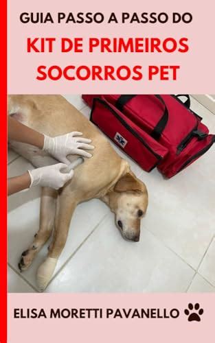 Kit De Primeiros Socorros Pet Guia Passo A Passo Como Viajar