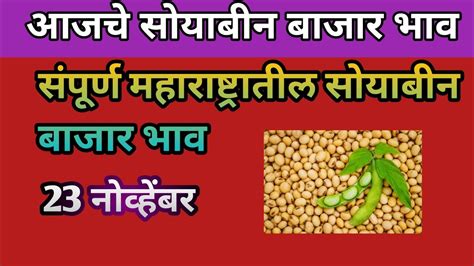 Nov Soybean Bazar Bhav Today All Maharashtra Maharashtra Soybean