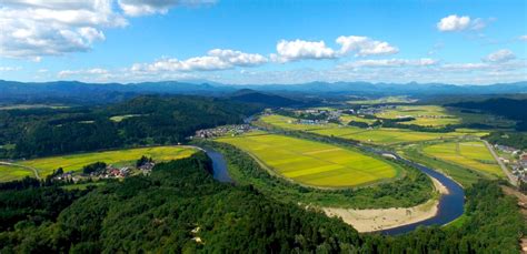 ふるさと納税 鮭川村 鮭川村産 特別栽培米 つや姫 5kg 5kg×1袋7000円 その他米、雑穀、粉類 Rcgcsubjp