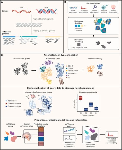 The Future Of Rapid And Automated Single Cell Data Analysis Using