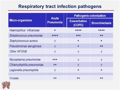 Bartholin gland infection antibiotic treatment