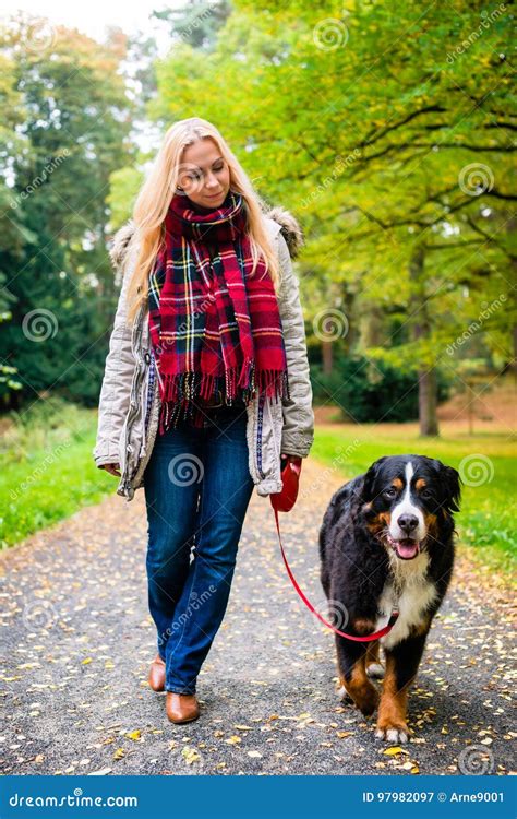 Woman Walking The Dog On Leash In Park Stock Image Image Of Autumn