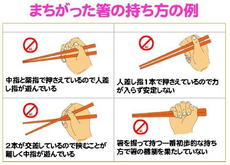 「箸の持ち方」について茂木健一郎「正しい持ち方って一つ？誰が決めたの？その人が使いやすかったらそれでいいような」 ガールズちゃんねる