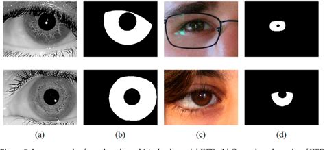 Pdf Towards More Accurate And Complete Heterogeneous Iris