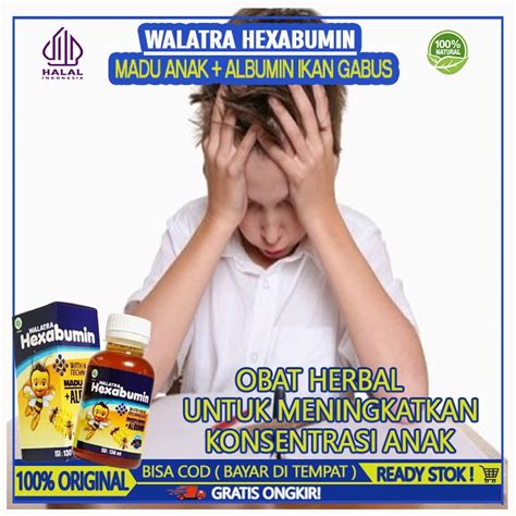 Jual Madu Untuk Meningkatkan Konsentrasi Pada Anak Obat Penambah Daya