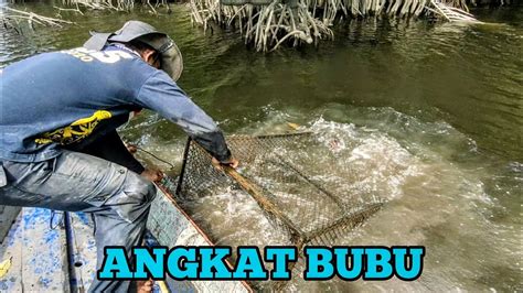 Angkat Bubu Udang Galah Kepiting Dan Ikan Terperangkap Dalam Bubu