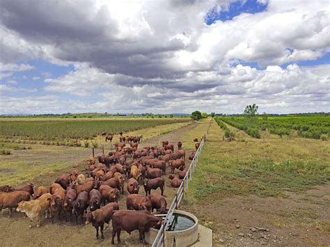 Burnett Highway Jambin Qld Farm For Sale Domain