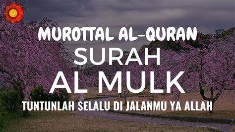 NGAJI BARENG ABUK NUN MUROTTAL AL QURAN SURAH AL MULK TUNTUNLAH