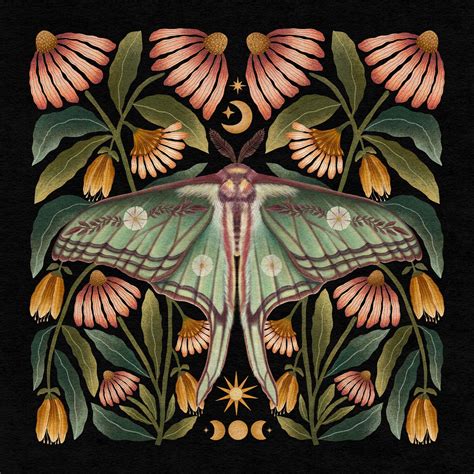 Luna Moth Illustration | Spanish Moon Moth Art Print | High West Wild