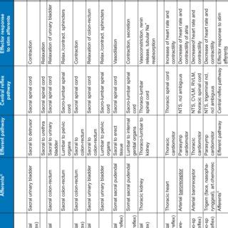 (PDF) Autonomic Reflexes