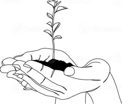 Hands Holding Plant Save Our Earth Illustration Line Art Drawing