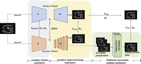 The Pipeline Of Our Multi Task Contrastive Learning Framework For Download Scientific Diagram