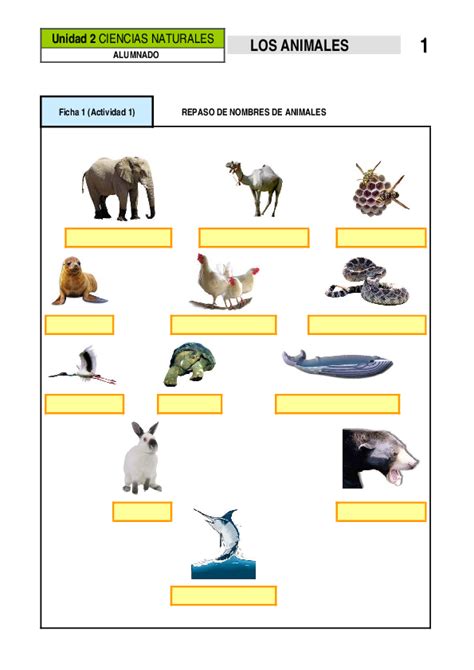 (PDF) Unidad 2 CIENCIAS NATURALES Ficha 1 (Actividad 1) REPASO DE ...