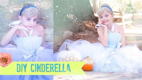 25 Fabulous DIY Cinderella Costume Ideas - Blitsy