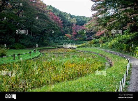 Inner Gardens Of Meiji Jingu One Of The Most Famous And Important