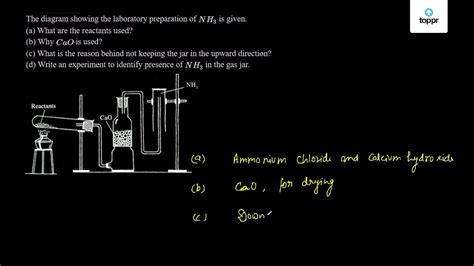 Ammonia Gas Test