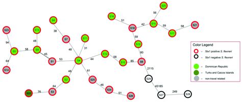 Core Genome Snp Based Minimum Spanning Tree Of S Flexneri Strains