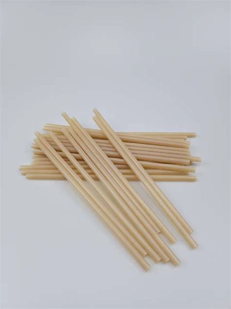 Buy Disposable Pla Bagasse Straw From Changzhou Mangrove International