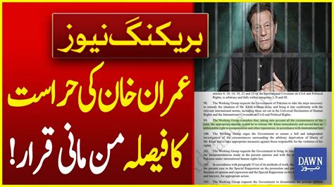 عمران خان کی حراست کا فیصلہ من مانی قرار Videos Dawn News Urdu