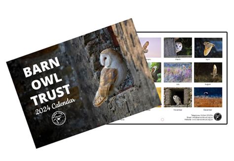 Barn Owl Calendar Emera Imojean