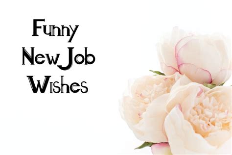 Congratulations New Job Quotes Funny