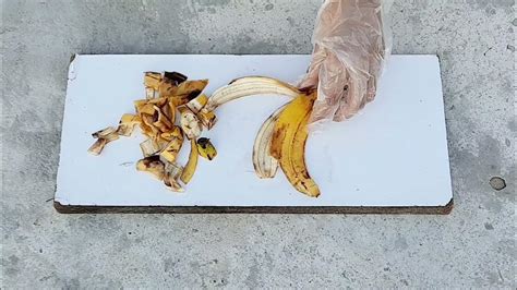 You Will Never Throw Away Banana After Watching This Youtube