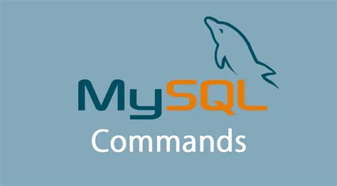 Comandos Mysql Comandos Básicos A Avanzados De Mysql Desarrollo De