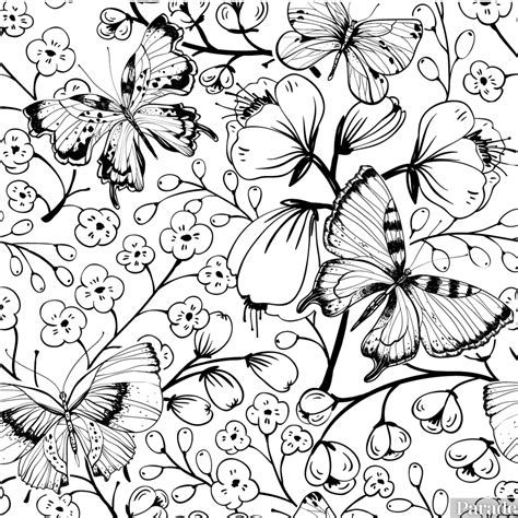 Butterfly Coloring Pages Free Printable Sheets Parade | The Best Porn Website