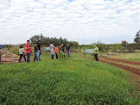 Escola De Assentamento Vem Se Consolidando Como Escola Agroecológica Do