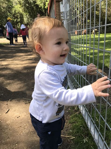 A guide to finding the best scenic spots when hiking san jose 7