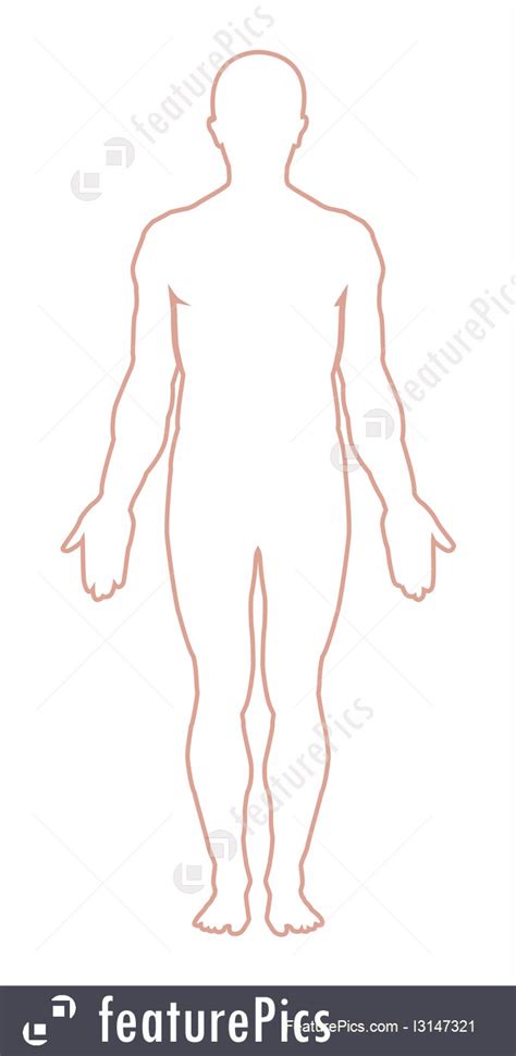 human body outline clipart male 20 free Cliparts | Download images on Clipground 2025