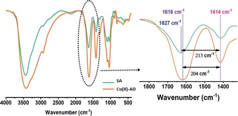 Ftir Spectra Of Sodium Alginate Sa And Dried Cu Ii Alginate Beads