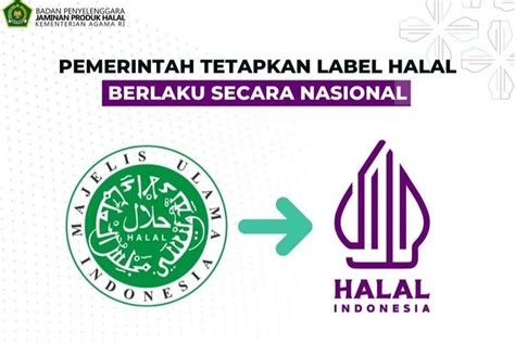 Cara Daftar Sertifikasi Halal Kemenag Begini Alur Lengkapnya Sesuai