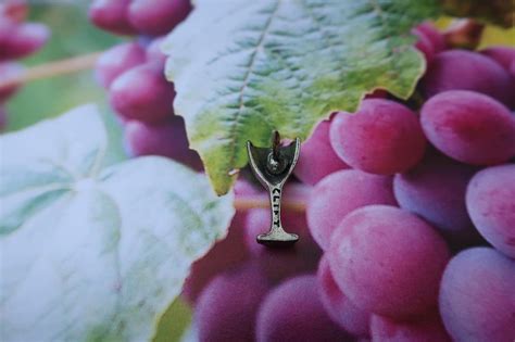 Wine Glass Lapel Pin Lapelpinplanet