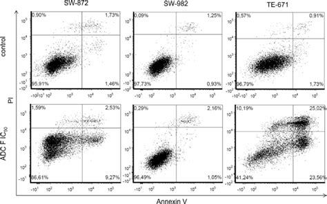 Annexin V Pi Apoptosis Assay Sw Sw And Te Cells Treated