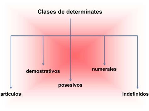 Los Determinantes 5º De Primaria Ppt