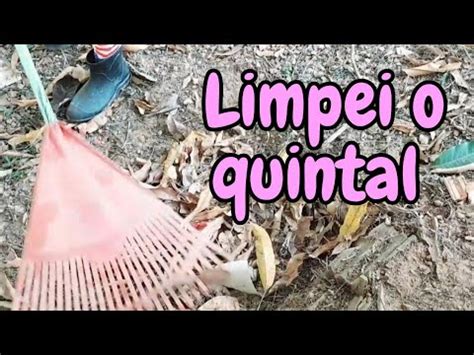 LIMPEI O QUINTAL MANTER LIMPO EVITA MUITAS DOENÇAS YouTube