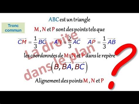 EXERCICE SUR LA DROITE DANS LE PLAN NIVEAU TRONC COMMUN SCIENCE YouTube