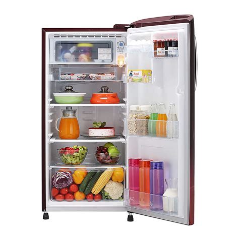 Best Refrigerator Brands Of 2024 In India Kally Marinna