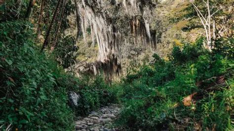 O que fazer em Jardín na Colômbia Guia de viagem completo