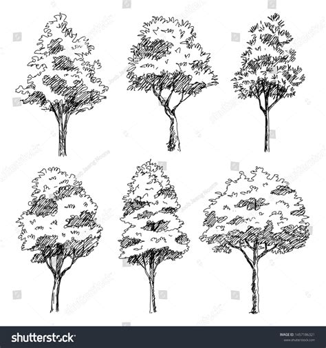 Tree Sketch Set Hand Drawn Architect | The Arts, Nature Stock Image ...