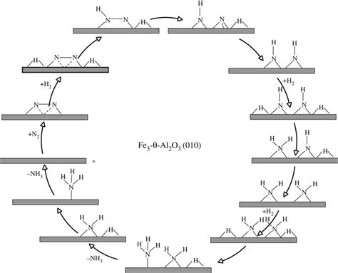 Simplified schematic of associative mechanism for ammonia synthesis on ...