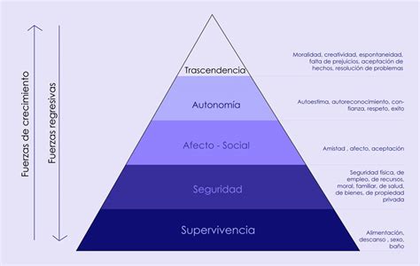 Electiva Profesional Pirámide Motivacional De Maslow