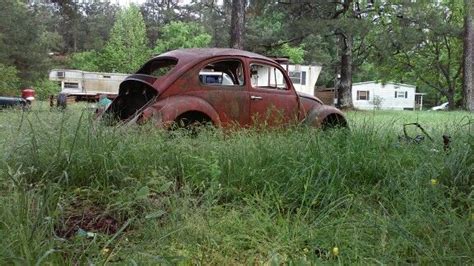 Volkswagen In Fresh Grass Bug Volkswagen Bug Buick Lesabre Antique