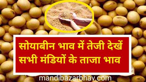 Soybean Rate Today 19 04 2023 सोयाबीन मंडी भाव में तेजी देखे सभी मंडियों के ताजा बाजार भाव